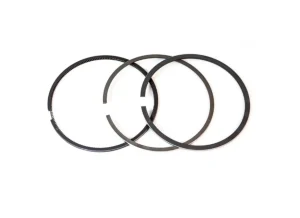 PISTON RING KIT oem part 270603