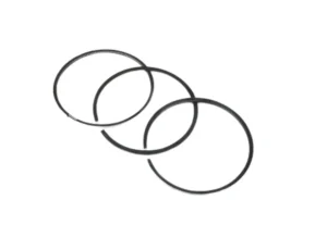 PISTON RING KIT oem part 276310